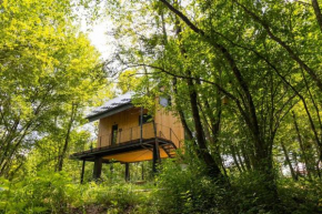 Tree Elements treehouse retreat